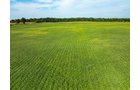 Property photo 60 - LAND AUCTION - 401+/-ACRES OFFERED IN 16 TRACTS IN NOBLE COUNTY, INDIANA