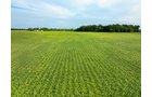Property photo 57 - LAND AUCTION - 401+/-ACRES OFFERED IN 16 TRACTS IN NOBLE COUNTY, INDIANA