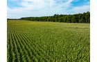 Property photo 3 - LAND AUCTION - 401+/-ACRES OFFERED IN 16 TRACTS IN NOBLE COUNTY, INDIANA