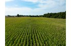 Property photo 16 - LAND AUCTION - 401+/-ACRES OFFERED IN 16 TRACTS IN NOBLE COUNTY, INDIANA