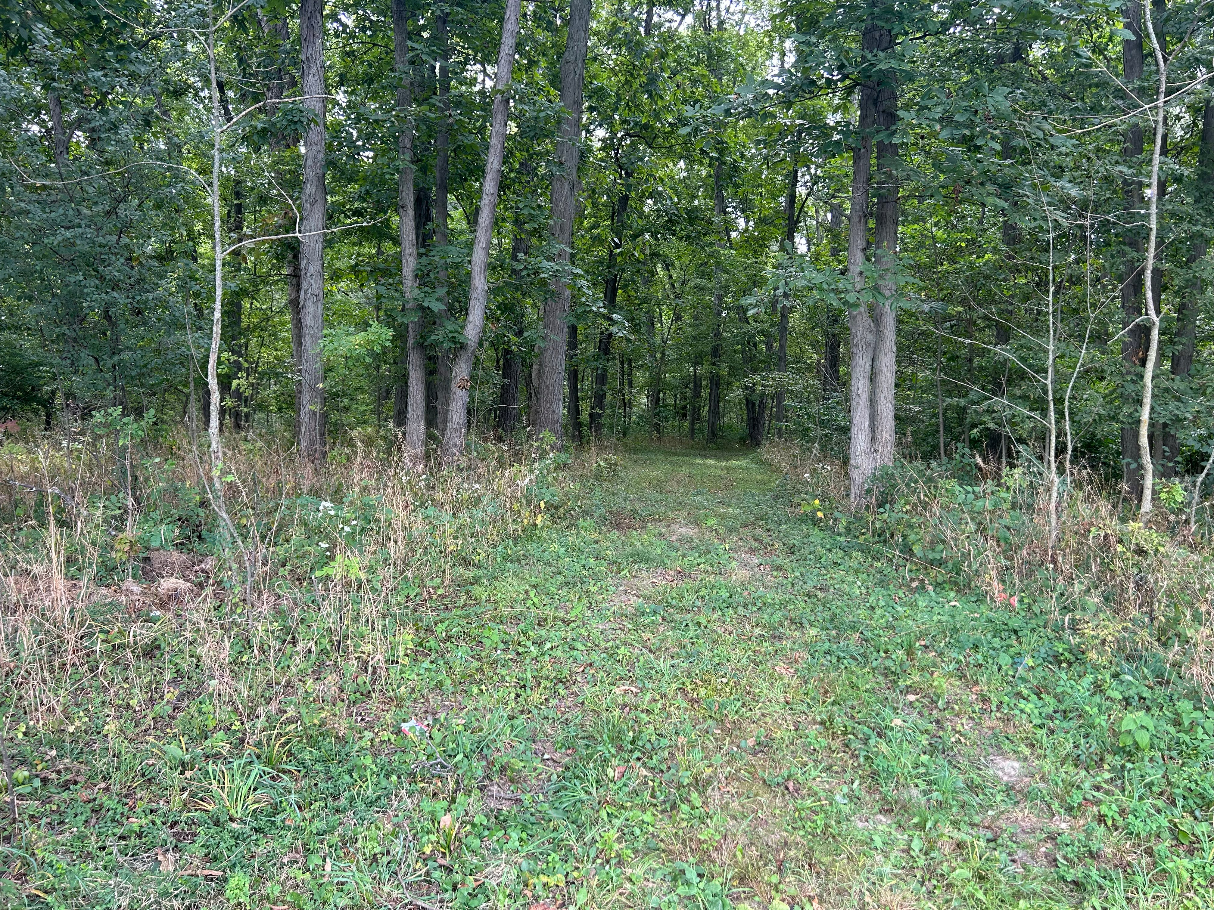 Property photo 4 - LAND AUCTION - 401+/-ACRES OFFERED IN 16 TRACTS IN NOBLE COUNTY, INDIANA