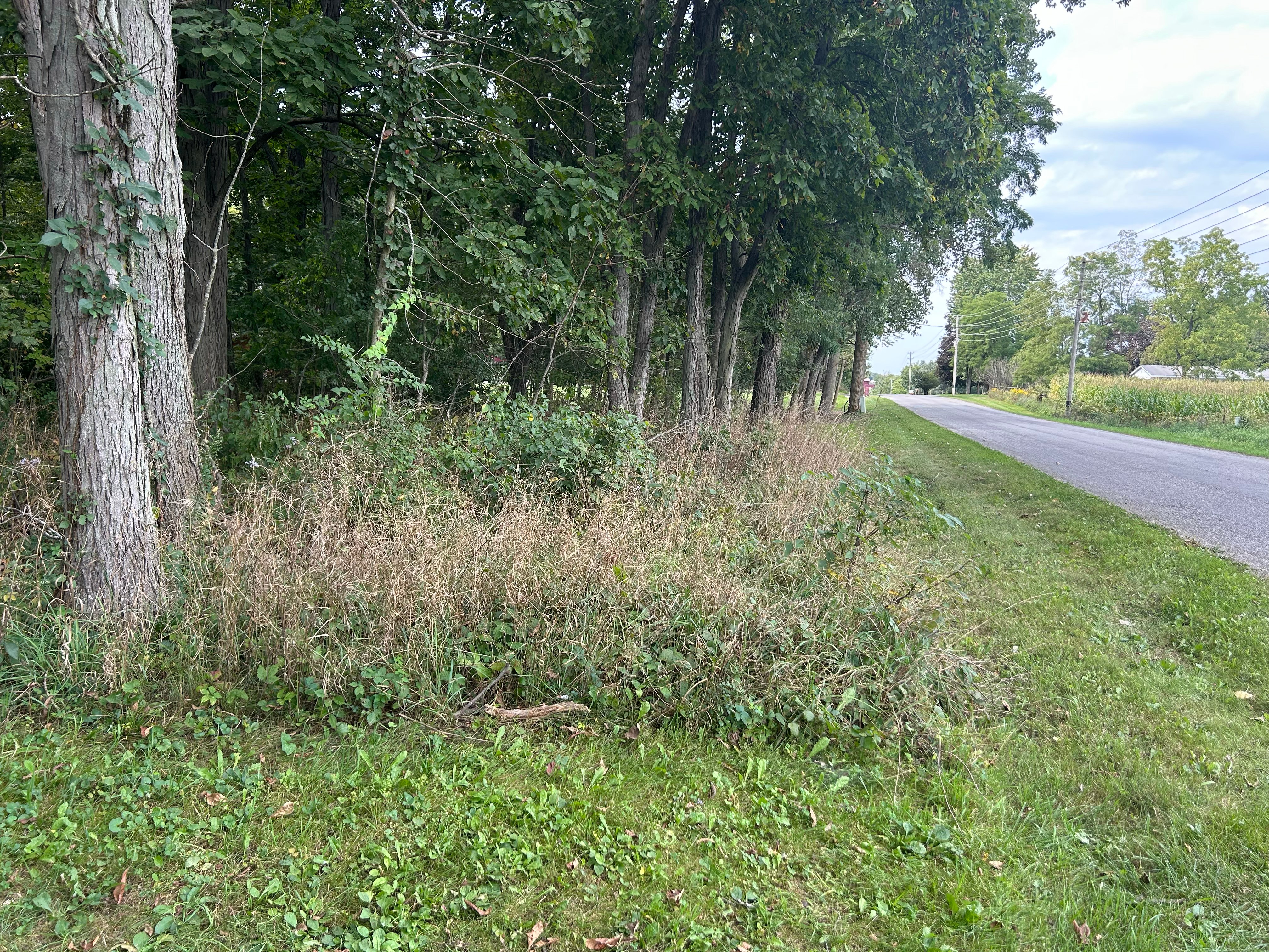 Property photo 14 - LAND AUCTION - 401+/-ACRES OFFERED IN 16 TRACTS IN NOBLE COUNTY, INDIANA