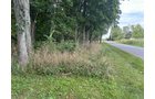 Property photo 14 - LAND AUCTION - 401+/-ACRES OFFERED IN 16 TRACTS IN NOBLE COUNTY, INDIANA