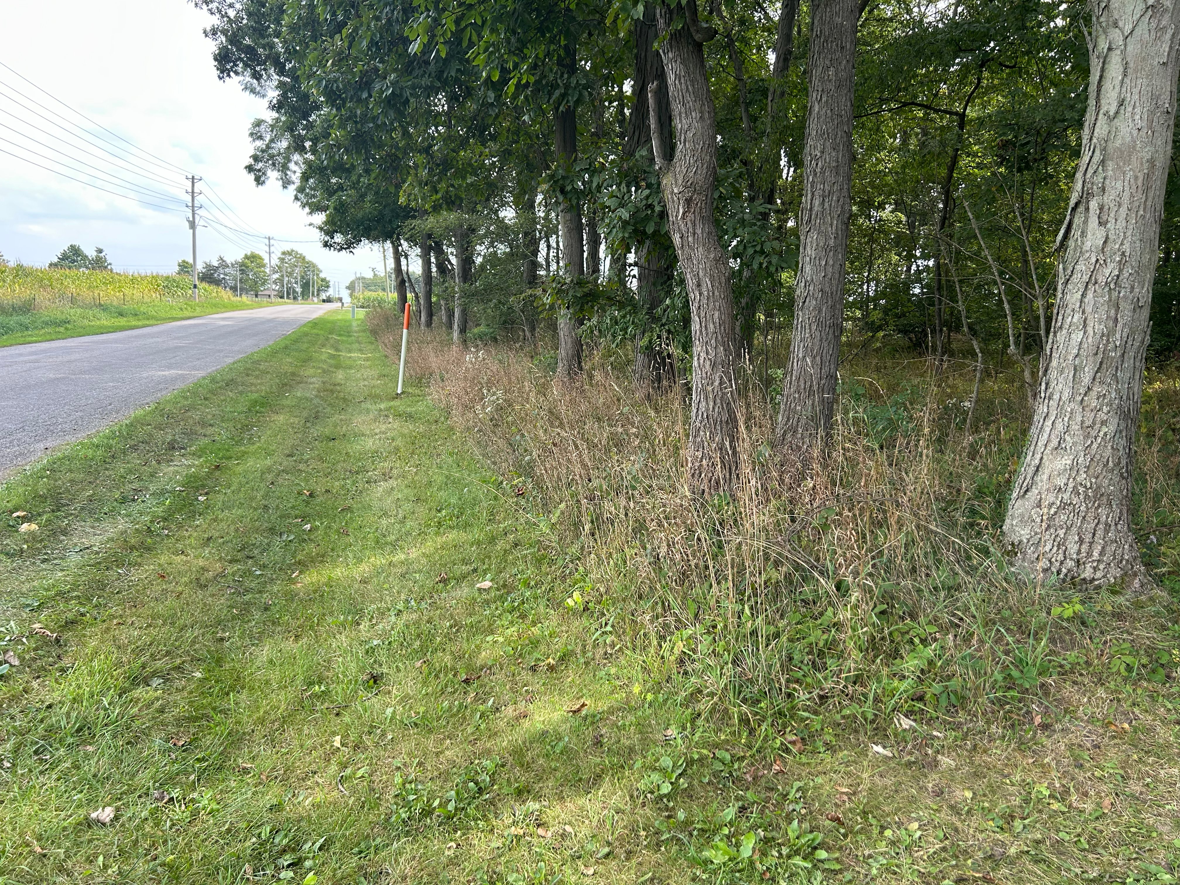 Property photo 13 - LAND AUCTION - 401+/-ACRES OFFERED IN 16 TRACTS IN NOBLE COUNTY, INDIANA