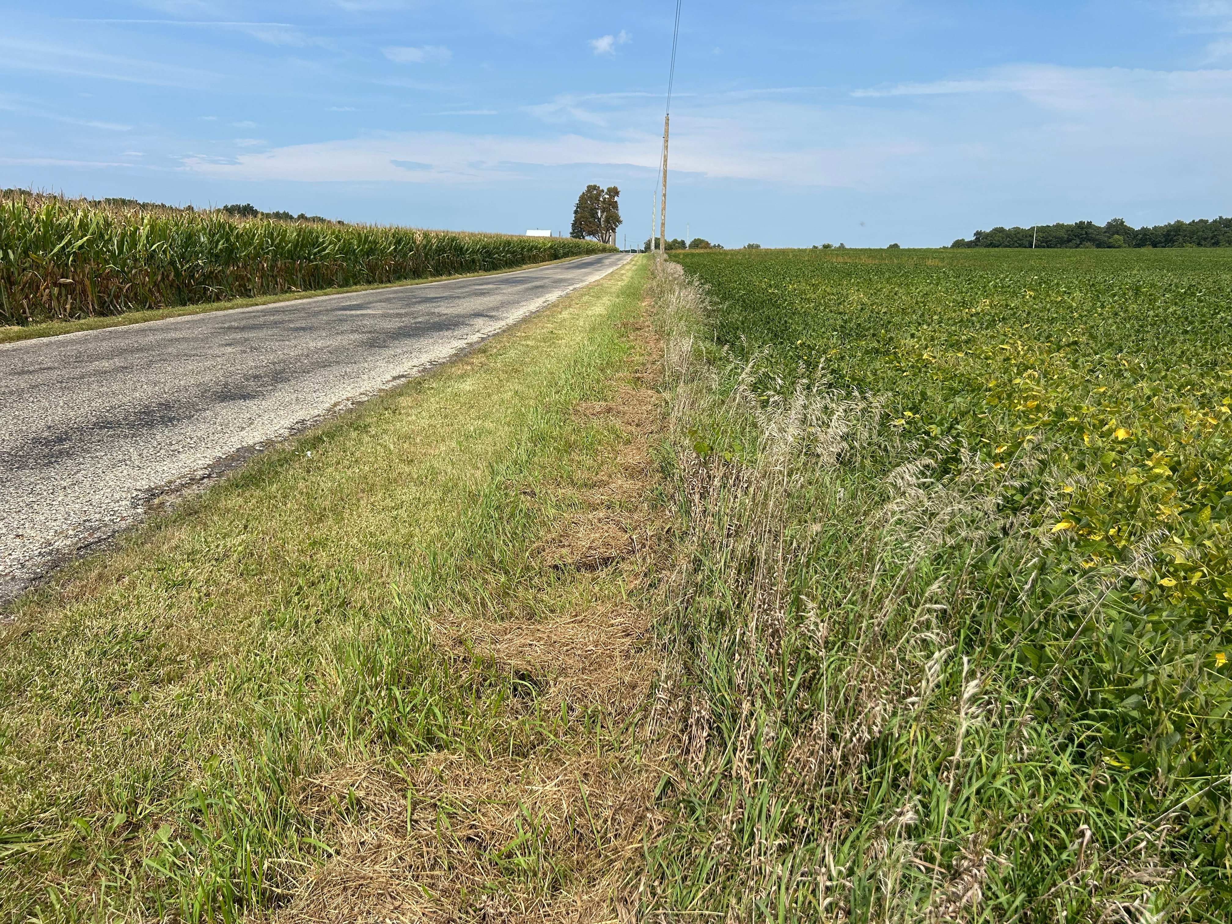Property photo 6 - LAND AUCTION - 401+/-ACRES OFFERED IN 16 TRACTS IN NOBLE COUNTY, INDIANA