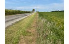 Property photo 6 - LAND AUCTION - 401+/-ACRES OFFERED IN 16 TRACTS IN NOBLE COUNTY, INDIANA