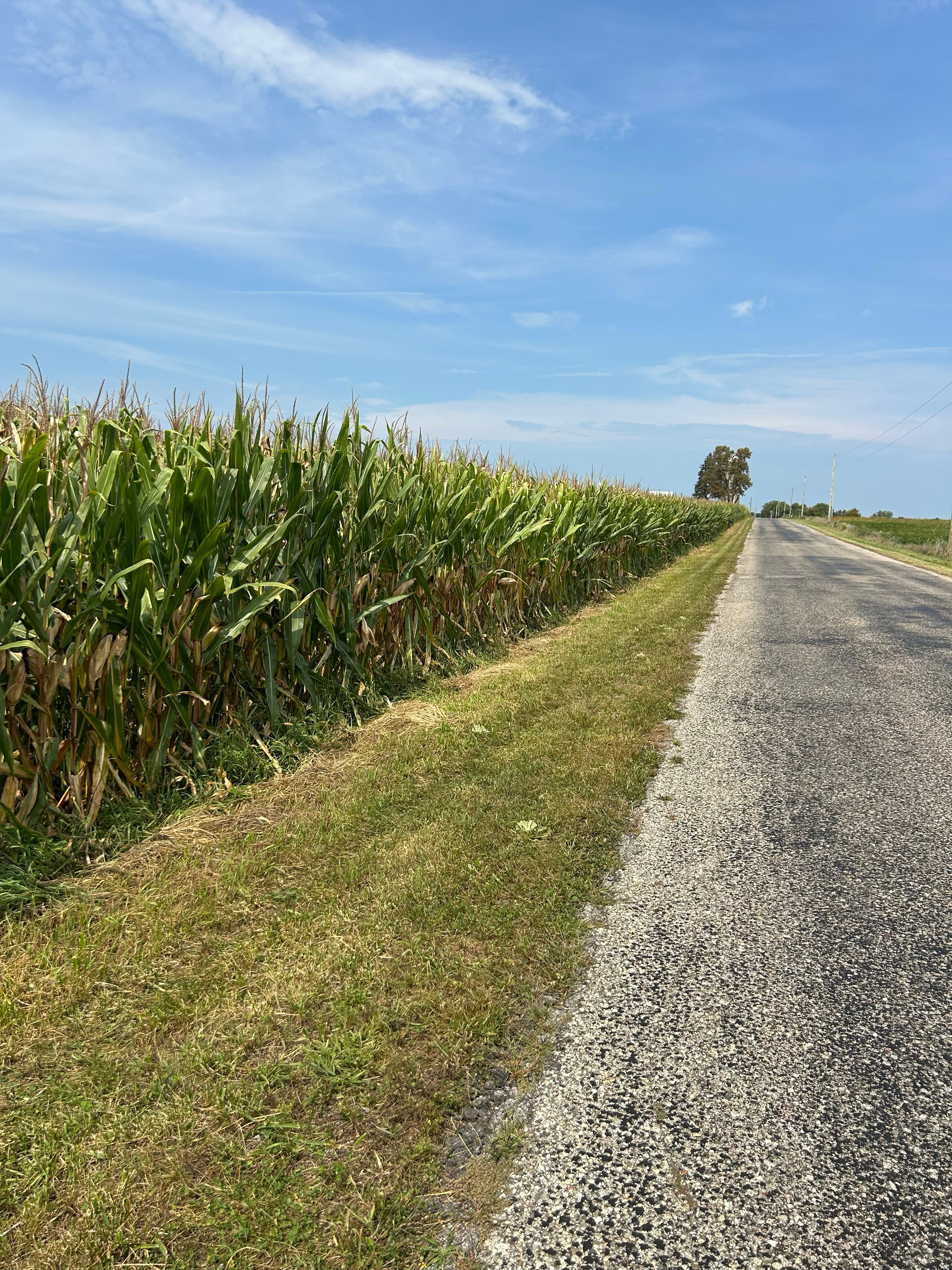 Property photo 5 - LAND AUCTION - 401+/-ACRES OFFERED IN 16 TRACTS IN NOBLE COUNTY, INDIANA