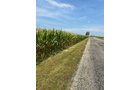Property photo 5 - LAND AUCTION - 401+/-ACRES OFFERED IN 16 TRACTS IN NOBLE COUNTY, INDIANA