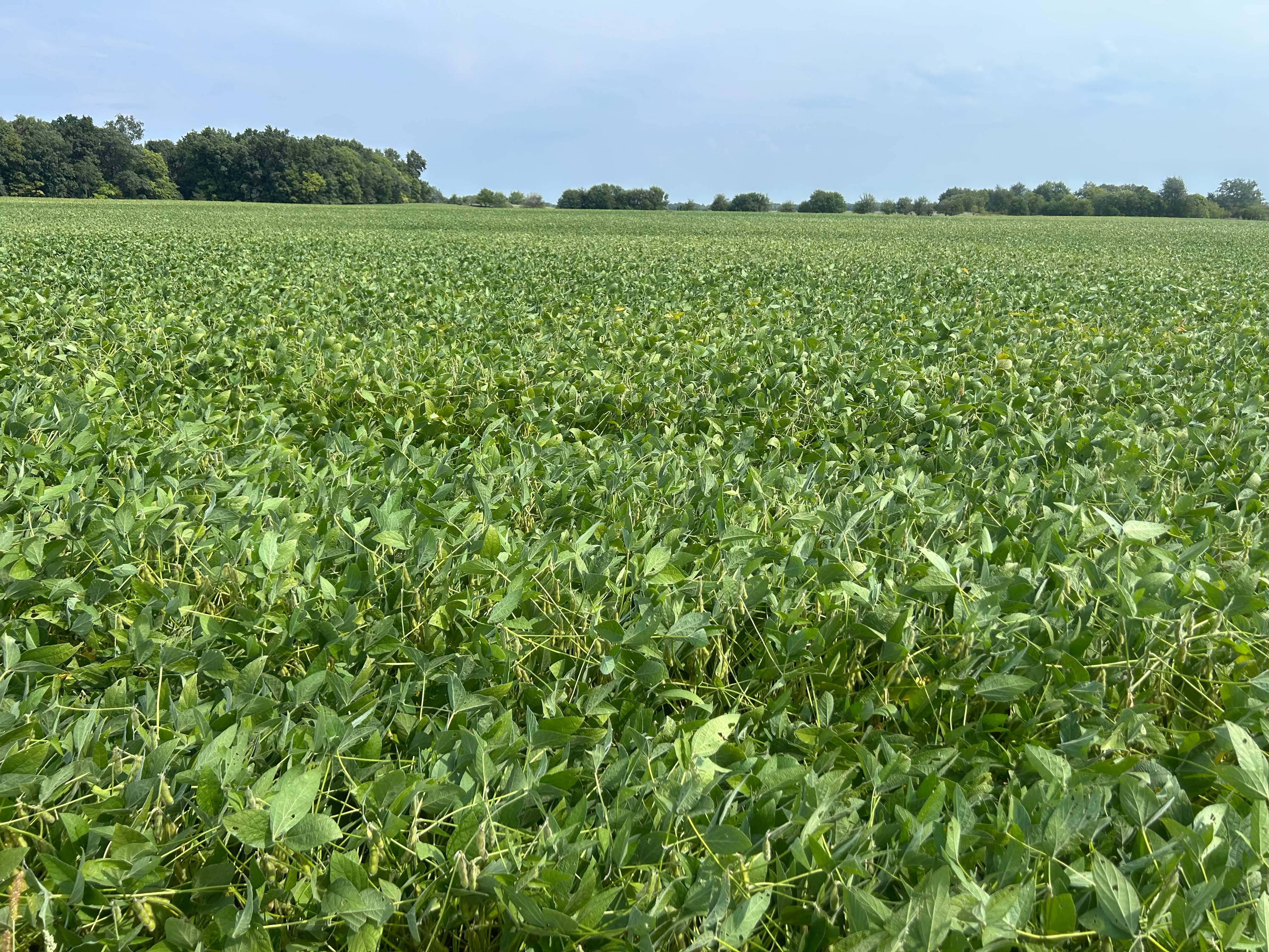 Property photo 15 - LAND AUCTION - 401+/-ACRES OFFERED IN 16 TRACTS IN NOBLE COUNTY, INDIANA