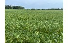 Property photo 15 - LAND AUCTION - 401+/-ACRES OFFERED IN 16 TRACTS IN NOBLE COUNTY, INDIANA