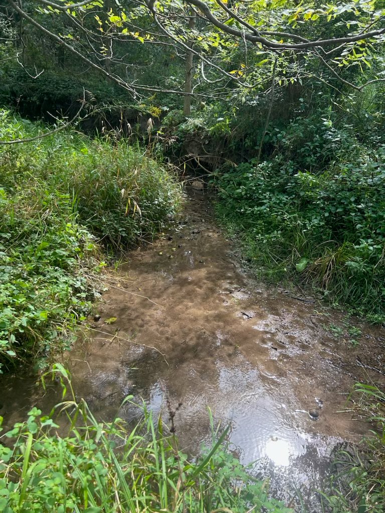 Property photo 39 - LAND AUCTION - 401+/-ACRES OFFERED IN 16 TRACTS IN NOBLE COUNTY, INDIANA