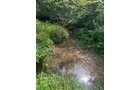 Property photo 39 - LAND AUCTION - 401+/-ACRES OFFERED IN 16 TRACTS IN NOBLE COUNTY, INDIANA
