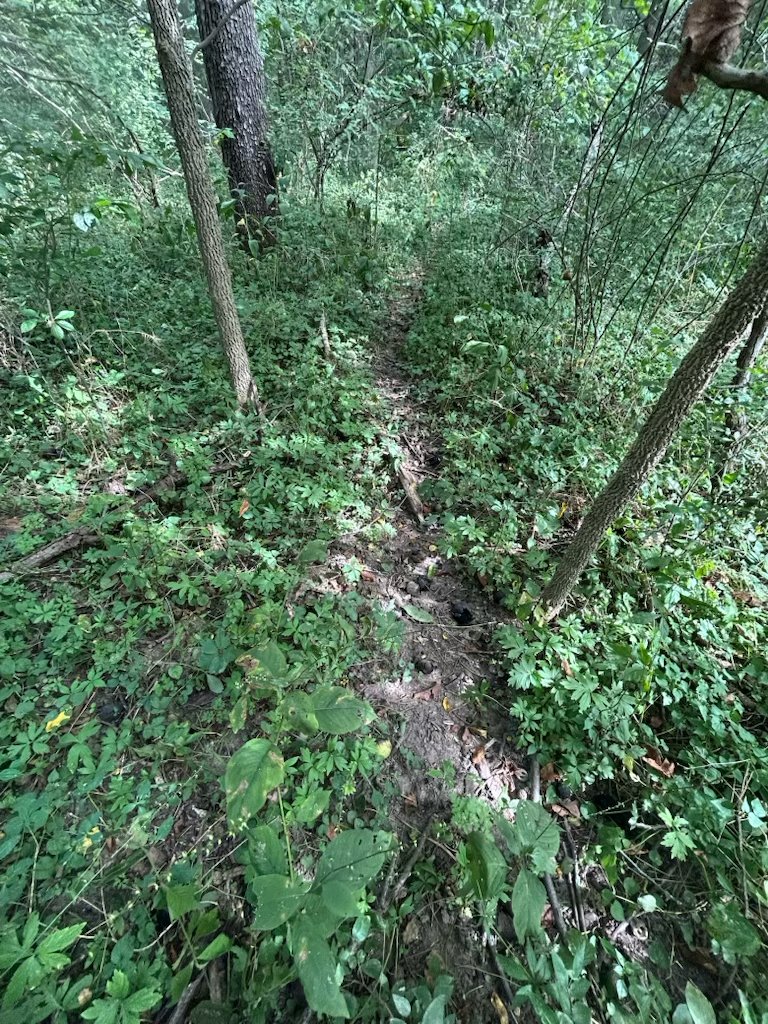 Property photo 38 - LAND AUCTION - 401+/-ACRES OFFERED IN 16 TRACTS IN NOBLE COUNTY, INDIANA