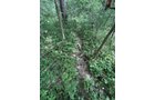 Property photo 38 - LAND AUCTION - 401+/-ACRES OFFERED IN 16 TRACTS IN NOBLE COUNTY, INDIANA