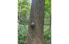 Property photo 35 - LAND AUCTION - 401+/-ACRES OFFERED IN 16 TRACTS IN NOBLE COUNTY, INDIANA