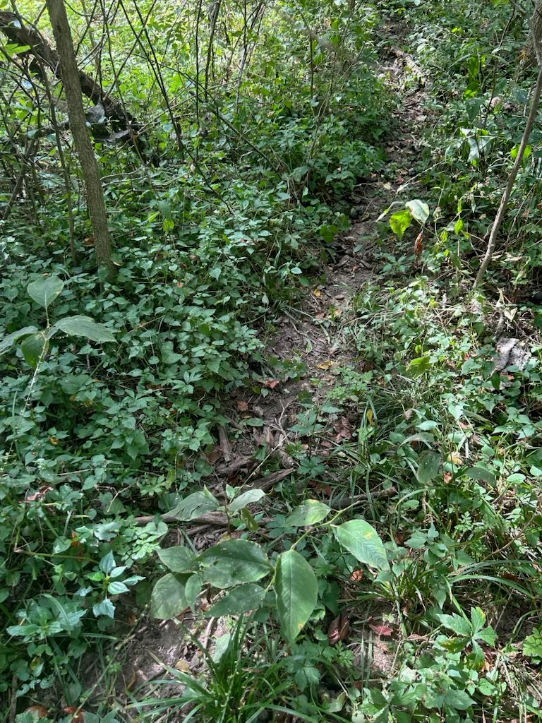 Property photo 30 - LAND AUCTION - 401+/-ACRES OFFERED IN 16 TRACTS IN NOBLE COUNTY, INDIANA