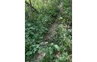 Property photo 30 - LAND AUCTION - 401+/-ACRES OFFERED IN 16 TRACTS IN NOBLE COUNTY, INDIANA