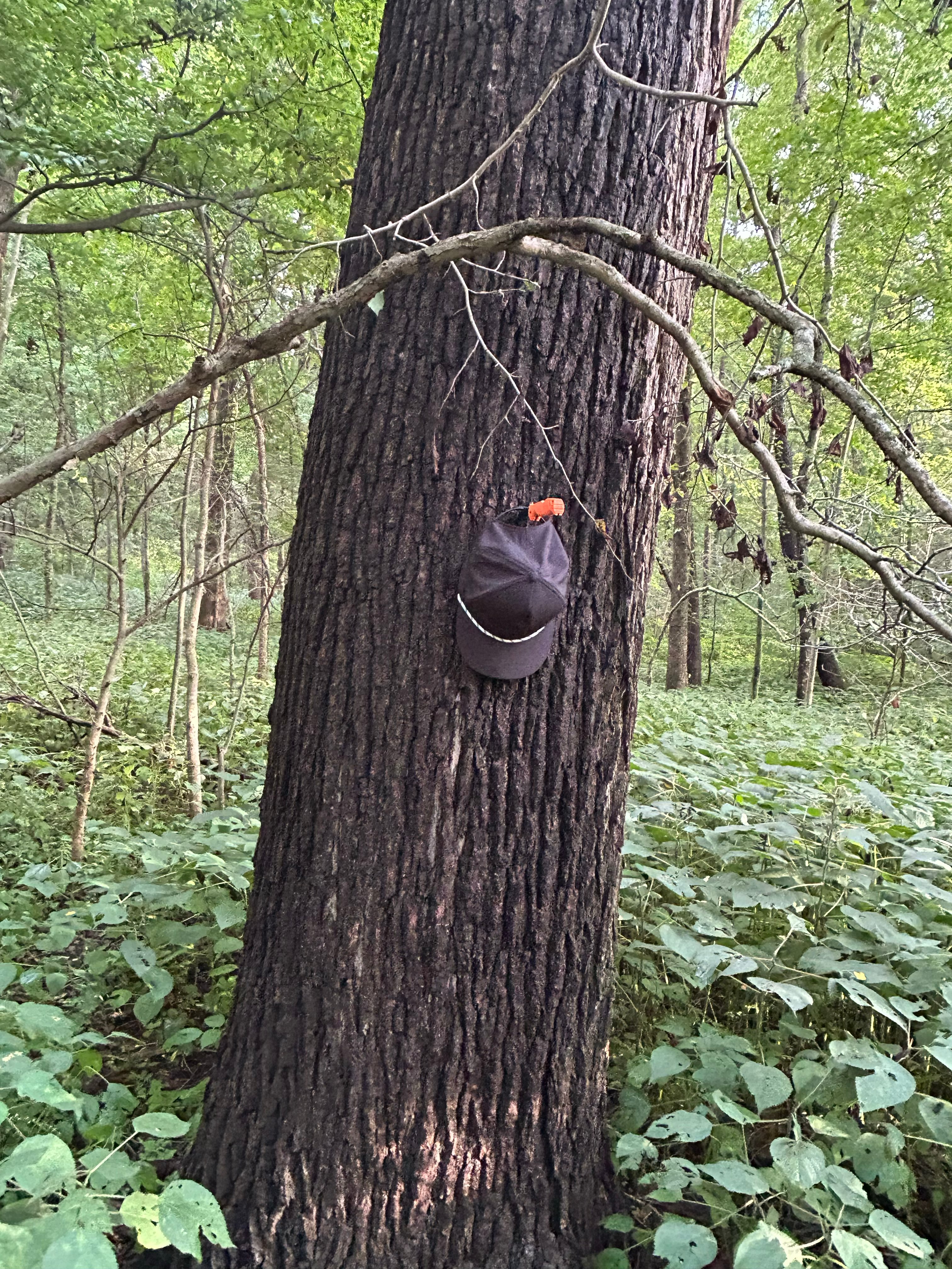 Property photo 29 - LAND AUCTION - 401+/-ACRES OFFERED IN 16 TRACTS IN NOBLE COUNTY, INDIANA