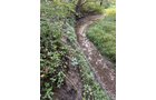 Property photo 28 - LAND AUCTION - 401+/-ACRES OFFERED IN 16 TRACTS IN NOBLE COUNTY, INDIANA