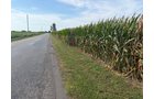 Property photo 26 - LAND AUCTION - 401+/-ACRES OFFERED IN 16 TRACTS IN NOBLE COUNTY, INDIANA