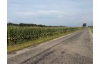 Property photo 24 - LAND AUCTION - 401+/-ACRES OFFERED IN 16 TRACTS IN NOBLE COUNTY, INDIANA