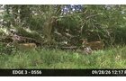 Property photo 23 - LAND AUCTION - 401+/-ACRES OFFERED IN 16 TRACTS IN NOBLE COUNTY, INDIANA