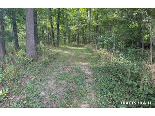 Property photo 35 - LAND AUCTION - 401+/-ACRES OFFERED IN 17 TRACTS IN NOBLE COUNTY, INDIANA