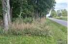 Property photo 34 - LAND AUCTION - 401+/-ACRES OFFERED IN 17 TRACTS IN NOBLE COUNTY, INDIANA