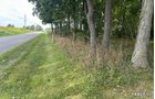 Property photo 36 - LAND AUCTION - 401+/-ACRES OFFERED IN 17 TRACTS IN NOBLE COUNTY, INDIANA