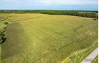 Property photo 37 - LAND AUCTION - 401+/-ACRES OFFERED IN 17 TRACTS IN NOBLE COUNTY, INDIANA