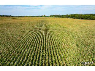 Property photo 38 - LAND AUCTION - 401+/-ACRES OFFERED IN 17 TRACTS IN NOBLE COUNTY, INDIANA