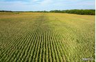 Property photo 38 - LAND AUCTION - 401+/-ACRES OFFERED IN 17 TRACTS IN NOBLE COUNTY, INDIANA