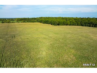 Property photo 39 - LAND AUCTION - 401+/-ACRES OFFERED IN 17 TRACTS IN NOBLE COUNTY, INDIANA