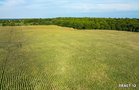 Property photo 39 - LAND AUCTION - 401+/-ACRES OFFERED IN 17 TRACTS IN NOBLE COUNTY, INDIANA
