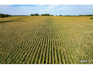 Property photo 40 - LAND AUCTION - 401+/-ACRES OFFERED IN 17 TRACTS IN NOBLE COUNTY, INDIANA