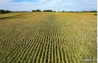 Property photo 40 - LAND AUCTION - 401+/-ACRES OFFERED IN 17 TRACTS IN NOBLE COUNTY, INDIANA