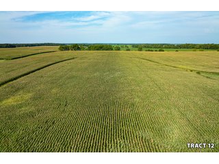 Property photo 41 - LAND AUCTION - 401+/-ACRES OFFERED IN 17 TRACTS IN NOBLE COUNTY, INDIANA