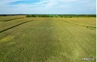 Property photo 41 - LAND AUCTION - 401+/-ACRES OFFERED IN 17 TRACTS IN NOBLE COUNTY, INDIANA