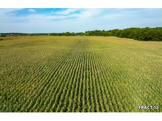 Property photo 42 - LAND AUCTION - 401+/-ACRES OFFERED IN 17 TRACTS IN NOBLE COUNTY, INDIANA