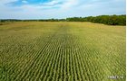 Property photo 42 - LAND AUCTION - 401+/-ACRES OFFERED IN 17 TRACTS IN NOBLE COUNTY, INDIANA