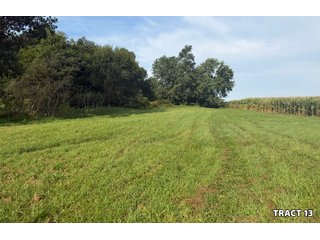 Property photo 44 - LAND AUCTION - 401+/-ACRES OFFERED IN 17 TRACTS IN NOBLE COUNTY, INDIANA