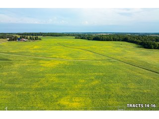 Property photo 48 - LAND AUCTION - 401+/-ACRES OFFERED IN 17 TRACTS IN NOBLE COUNTY, INDIANA