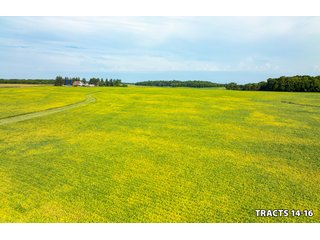 Property photo 49 - LAND AUCTION - 401+/-ACRES OFFERED IN 17 TRACTS IN NOBLE COUNTY, INDIANA