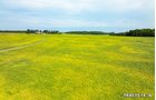 Property photo 49 - LAND AUCTION - 401+/-ACRES OFFERED IN 17 TRACTS IN NOBLE COUNTY, INDIANA