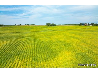 Property photo 50 - LAND AUCTION - 401+/-ACRES OFFERED IN 17 TRACTS IN NOBLE COUNTY, INDIANA