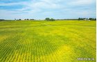 Property photo 50 - LAND AUCTION - 401+/-ACRES OFFERED IN 17 TRACTS IN NOBLE COUNTY, INDIANA
