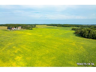 Property photo 51 - LAND AUCTION - 401+/-ACRES OFFERED IN 17 TRACTS IN NOBLE COUNTY, INDIANA