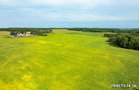 Property photo 51 - LAND AUCTION - 401+/-ACRES OFFERED IN 17 TRACTS IN NOBLE COUNTY, INDIANA