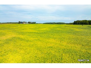 Property photo 45 - LAND AUCTION - 401+/-ACRES OFFERED IN 17 TRACTS IN NOBLE COUNTY, INDIANA