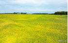 Property photo 45 - LAND AUCTION - 401+/-ACRES OFFERED IN 17 TRACTS IN NOBLE COUNTY, INDIANA